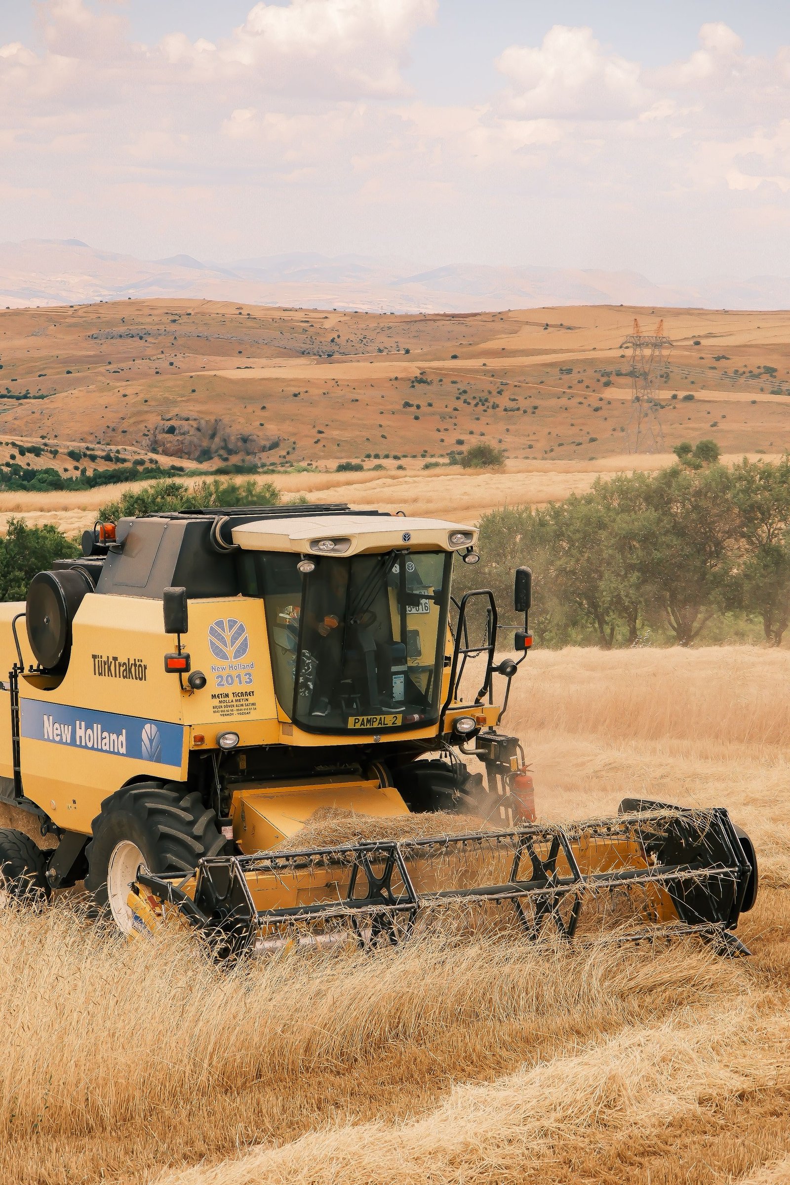 Combine harvester working a wheat field